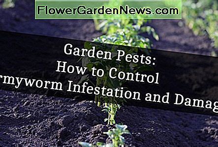 Wie Man Gartenschädlinge Kontrolliert